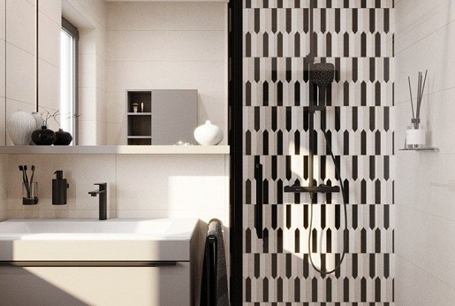 Renovation of a small bathroom and entryway