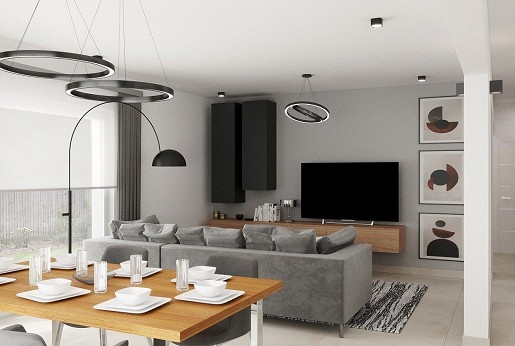 Remote work in Germany